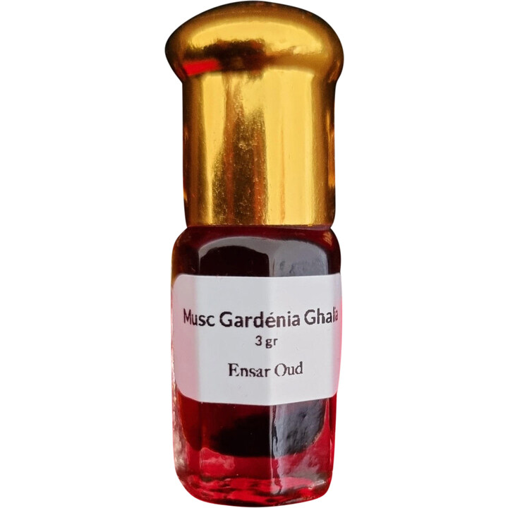 Musc Gardénia Borneo 50K